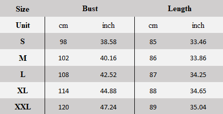 Chic Casual Lantern Sleeve Dress