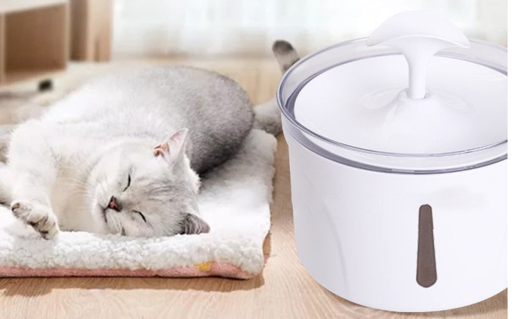 USB Plug 1.5L Recirculate Filtring Pet Water Dispenser
