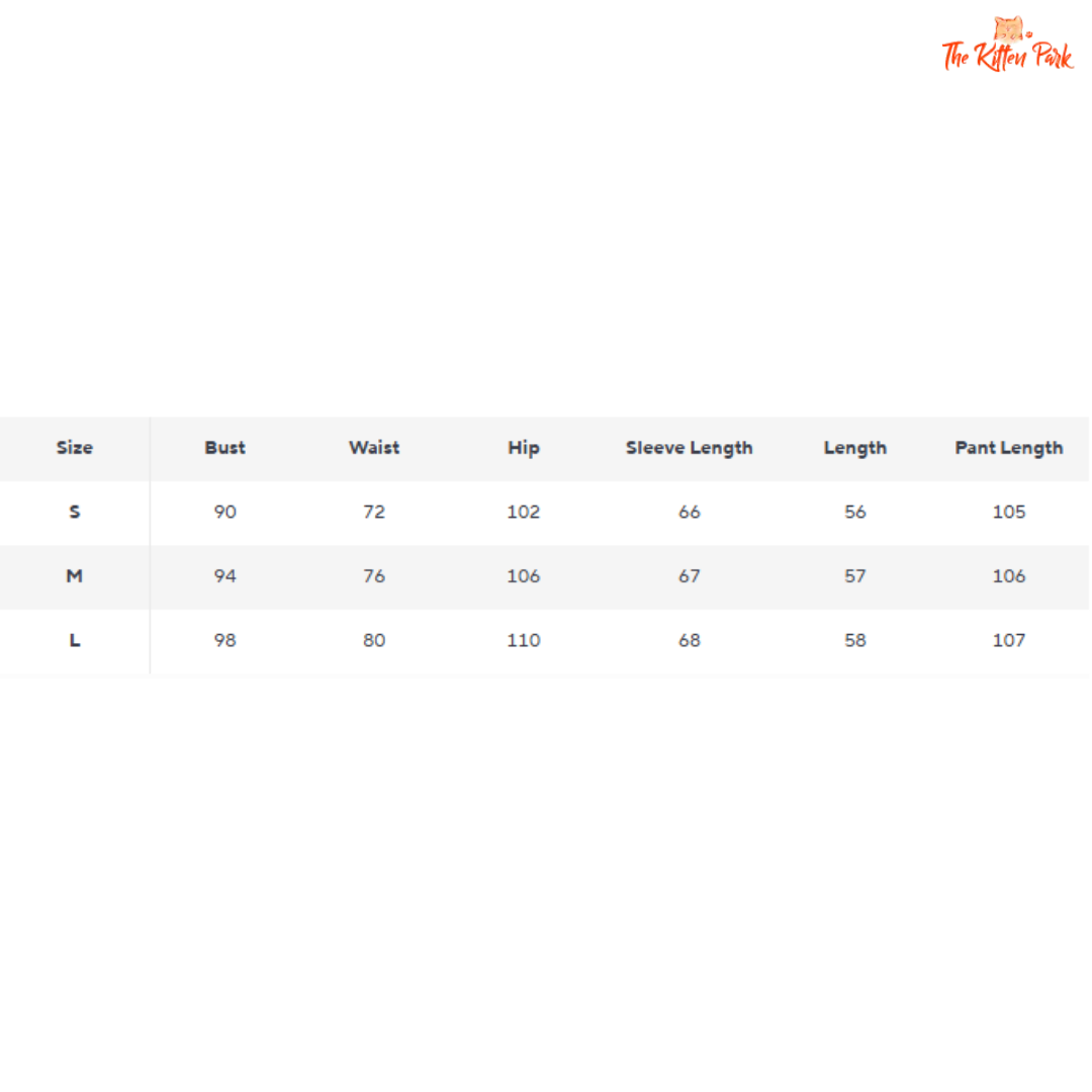 Animal Print Mesh Tie Front Set β Sheer Stripe 2 Piece Beachwear Outfit