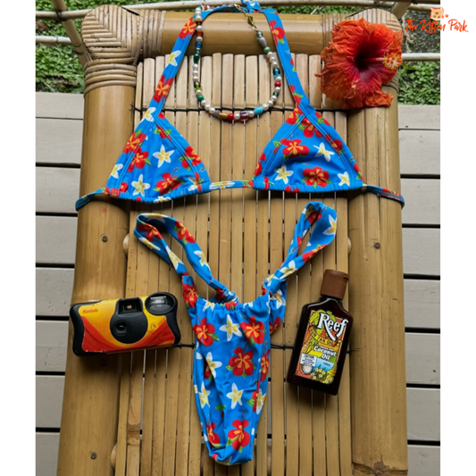 Sexy Micro Bikini 2025 – Brazilian-style halter swimsuit for women with thong bottom, low waist, tropical print, and wire-free padded top.