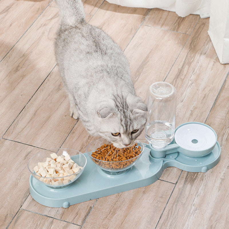 Non Slip 15 Degrees Pet Feeder Double Bowl