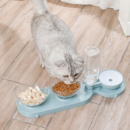 Non Slip 15 Degrees Pet Feeder Double Bowl