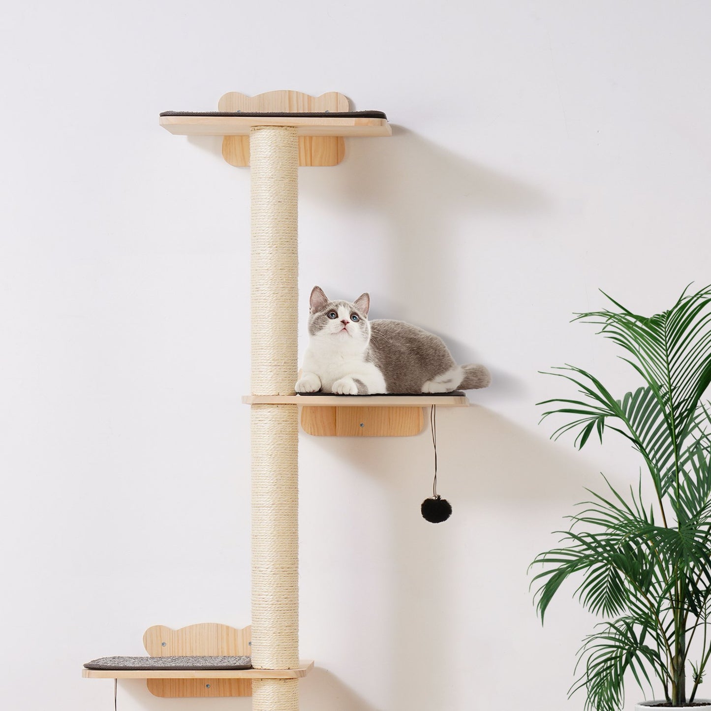 Wall Mounted Cat Climbing Wood Stairs Furniture