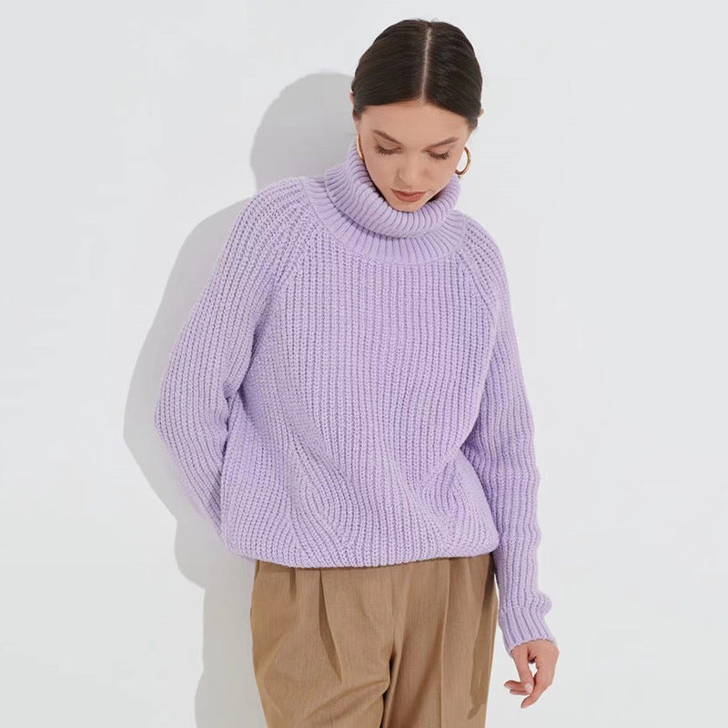 Women Casual Autumn Winter Turtleneck Knitted Sweaters