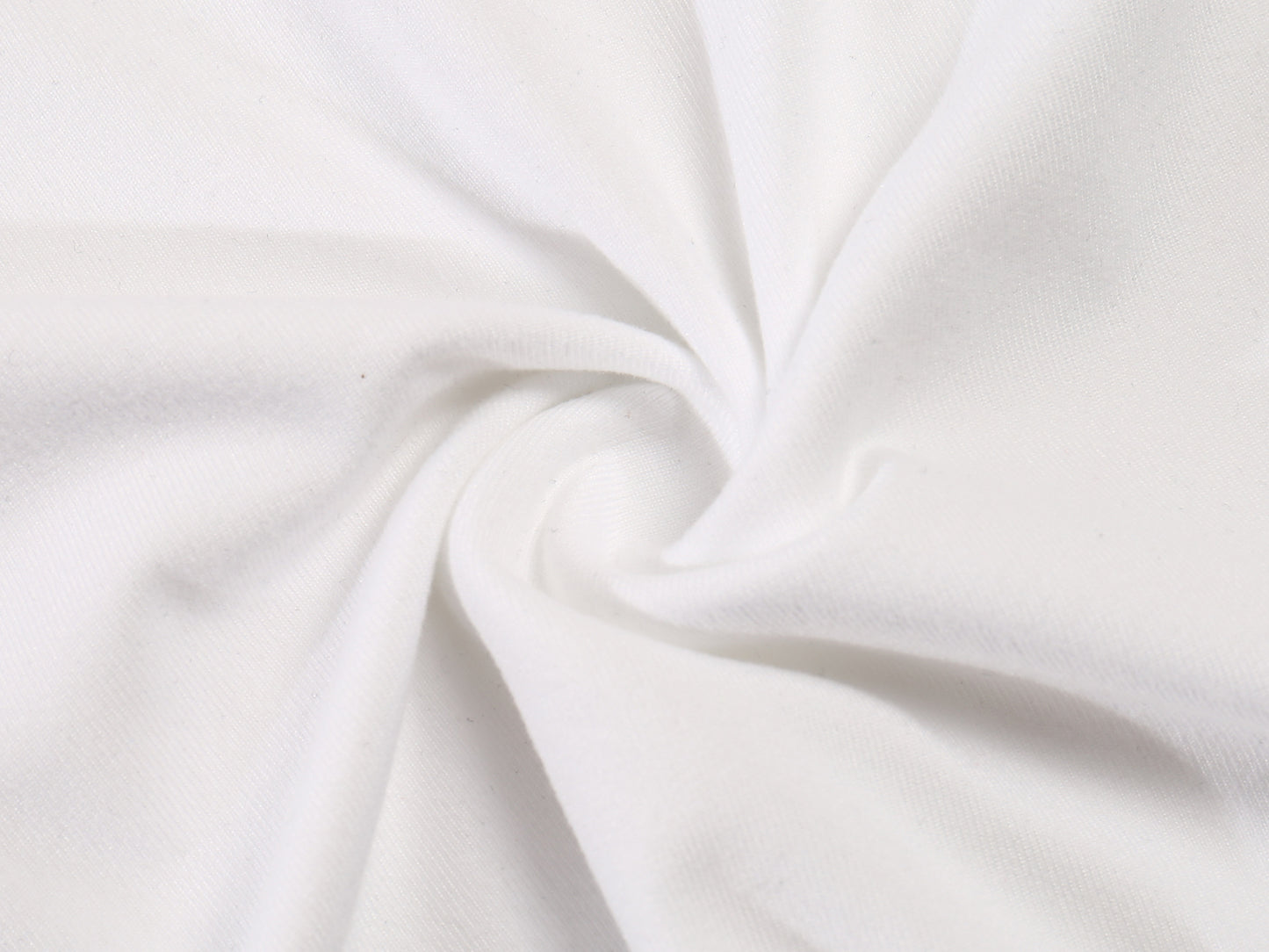 Womens Oh My Cat T Shirt