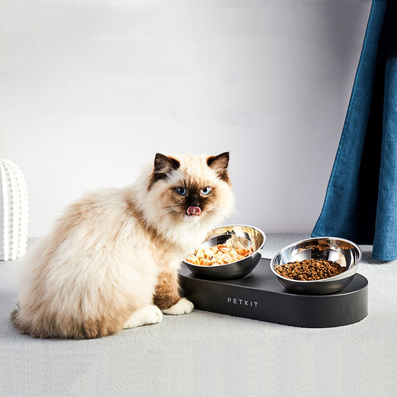 Single Double Set Adjustable Anti Slip Stainless Steel Bowls For Cats Kittens