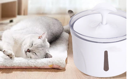 USB Plug 1.5L Recirculate Filtring Pet Water Dispenser