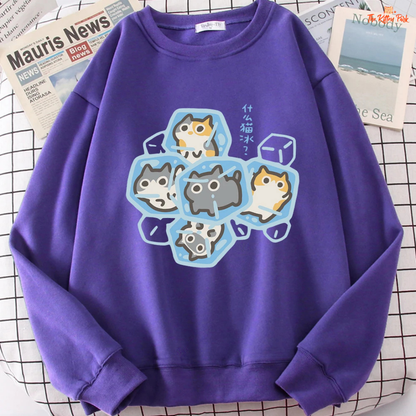 Purple sweatshirt with cat graphic on a checkered background