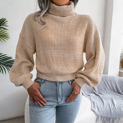 Warmth in Style: Turtleneck Sweater