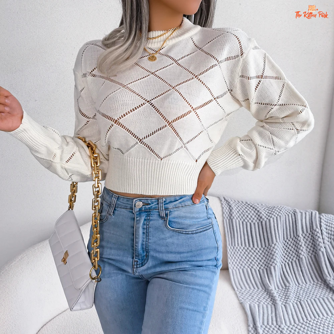 Women’s Hollow Out Knit Crop Sweater – heavyweight acrylic cropped pullover with O-neck and full sleeves, featuring hollow-out decorative knit details and medium stretch for autumn/winter casual wear.