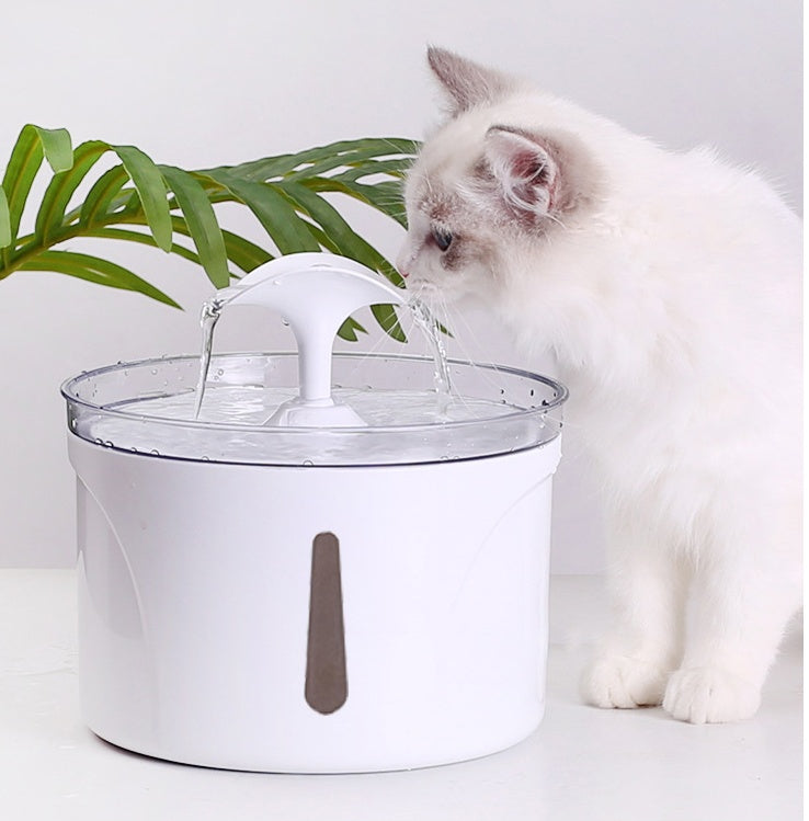 USB Plug 1.5L Recirculate Filtring Pet Water Dispenser
