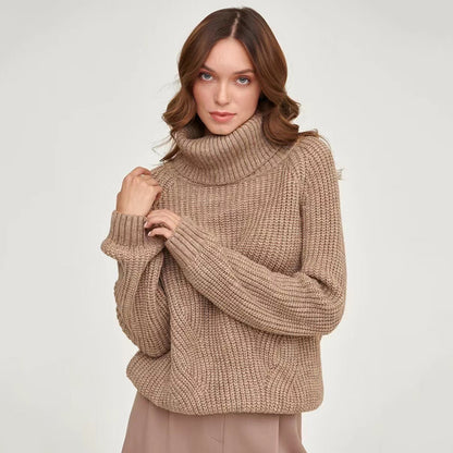 Women Casual Autumn Winter Turtleneck Knitted Sweaters