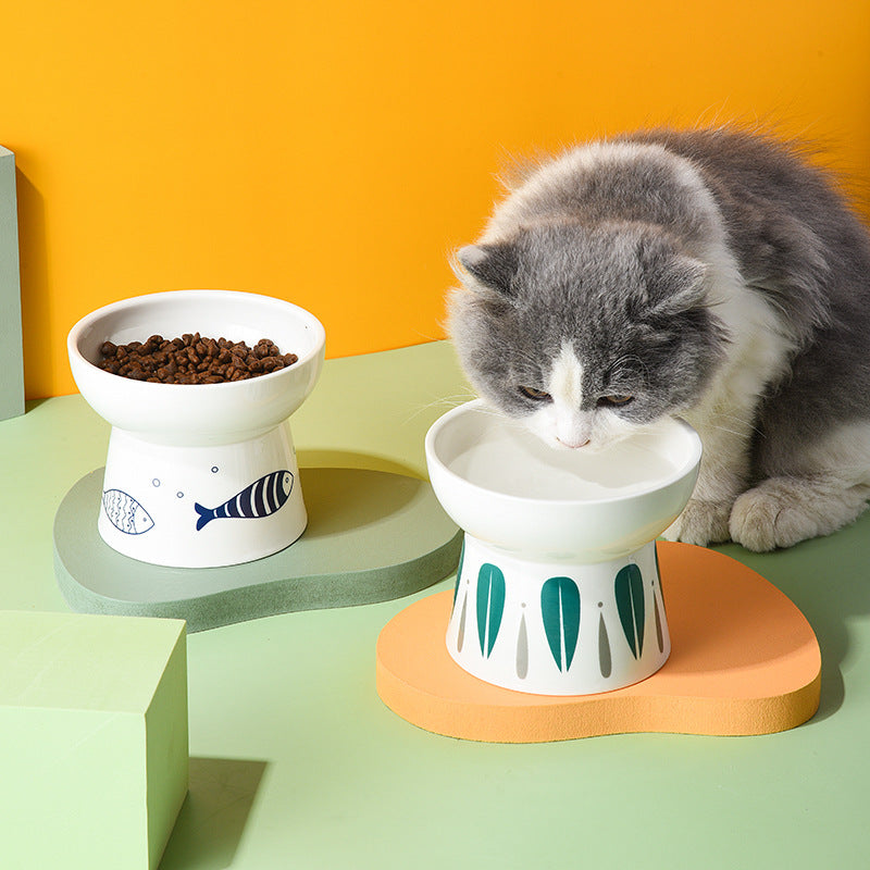 Cats Elevated Pool Design Non Slip Pet Bowls Feeder