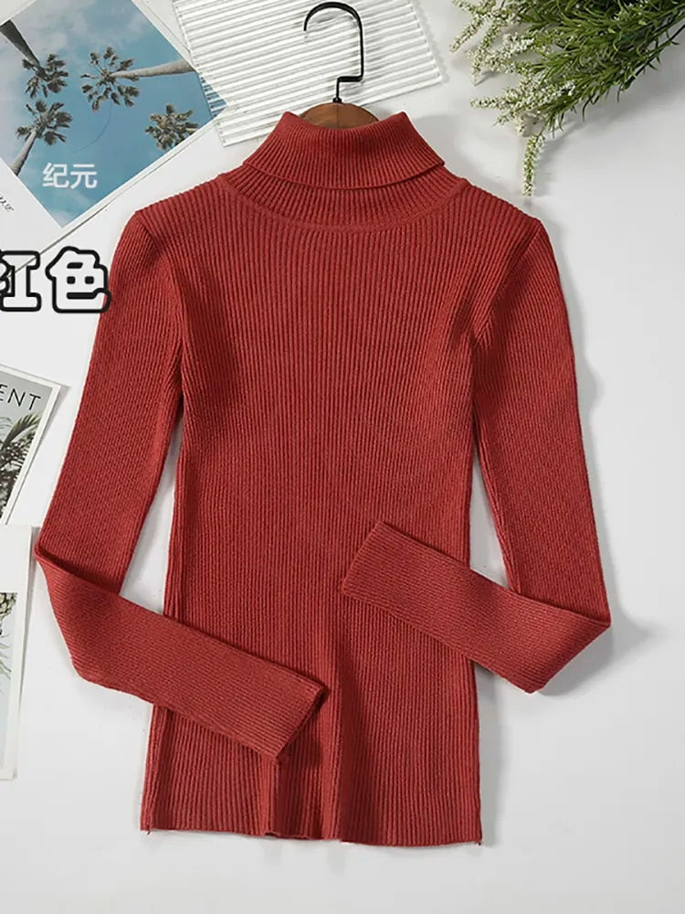 Womens Turtleneck Basic Knitted Sweaters