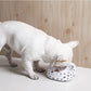 Anti-Microbial Smart 500G Volume Feeder Bowl For Cats Dogs