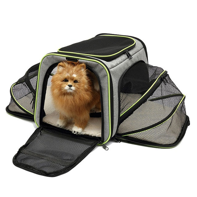 Portable Foldable Cat Dog Carrier Travel Backpack