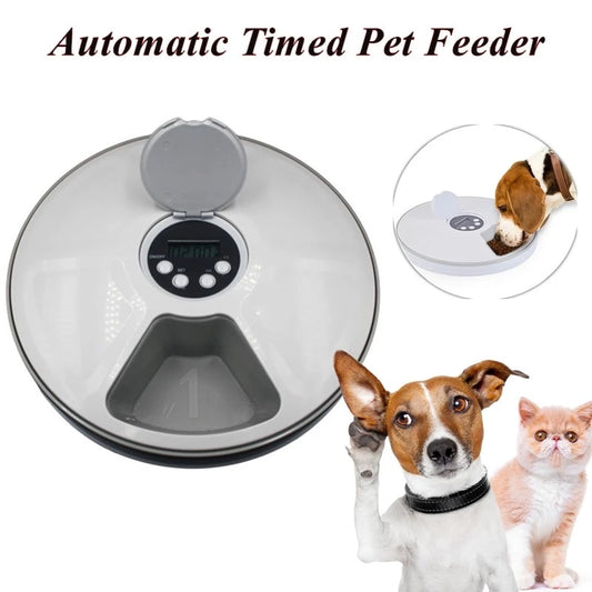 Automatic 6 Grids Pet Feeder